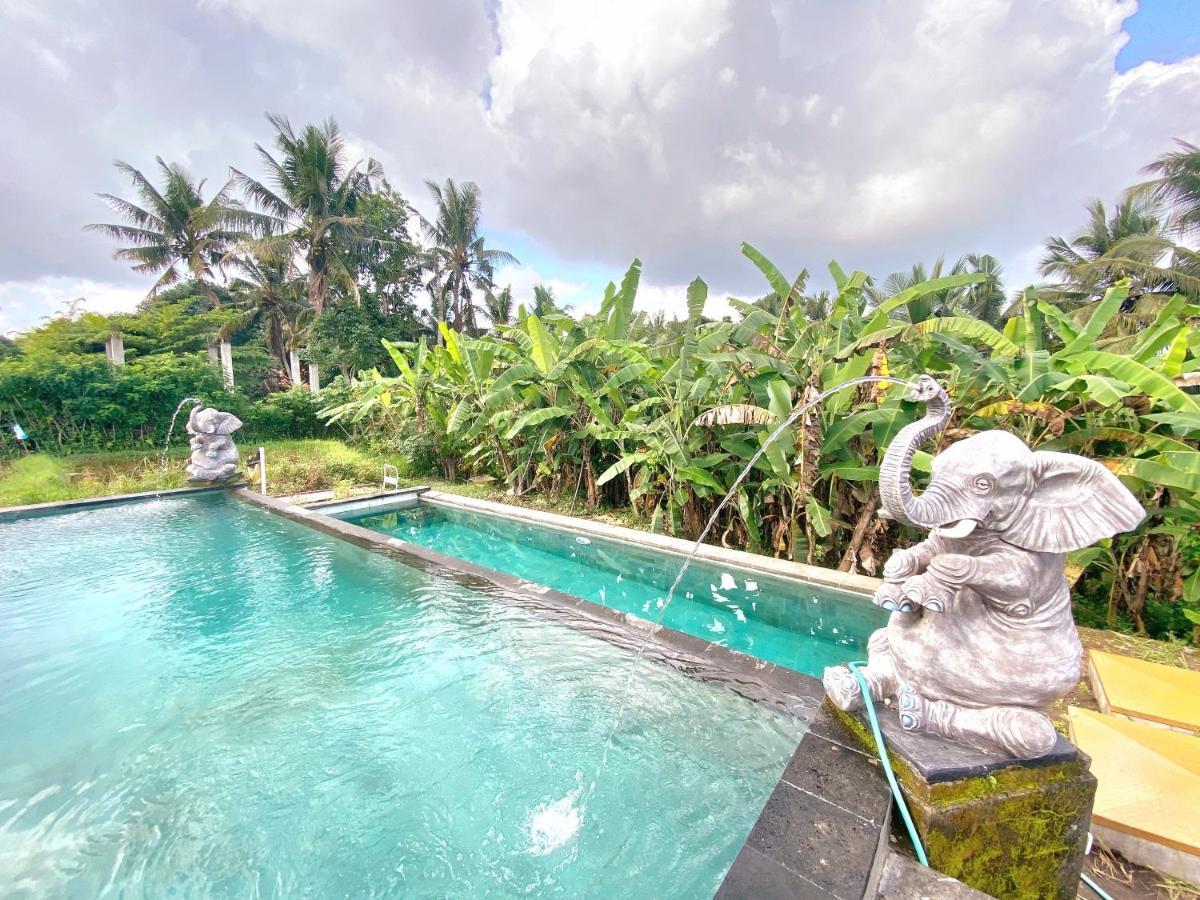 Ubud Rice Field House Экстерьер фото