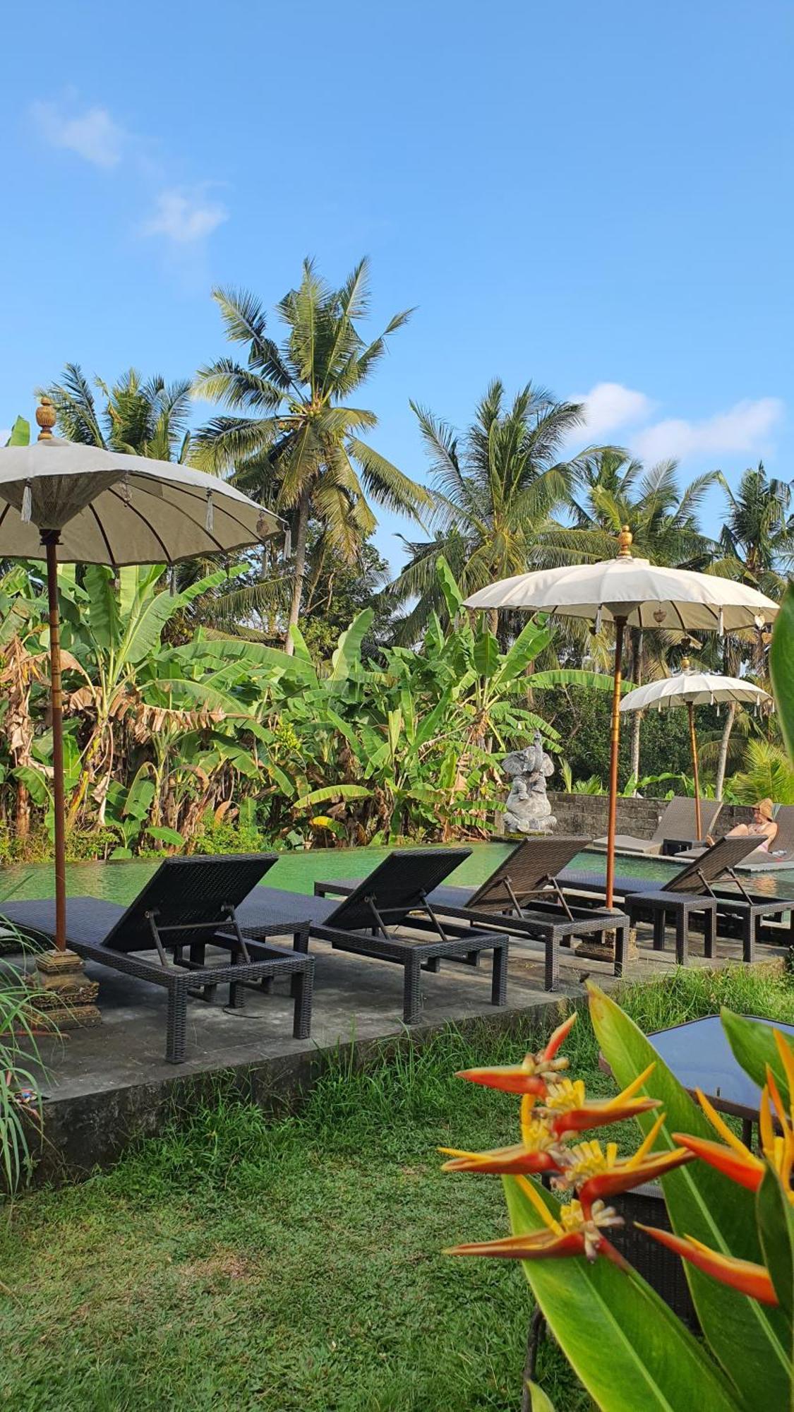 Ubud Rice Field House Экстерьер фото