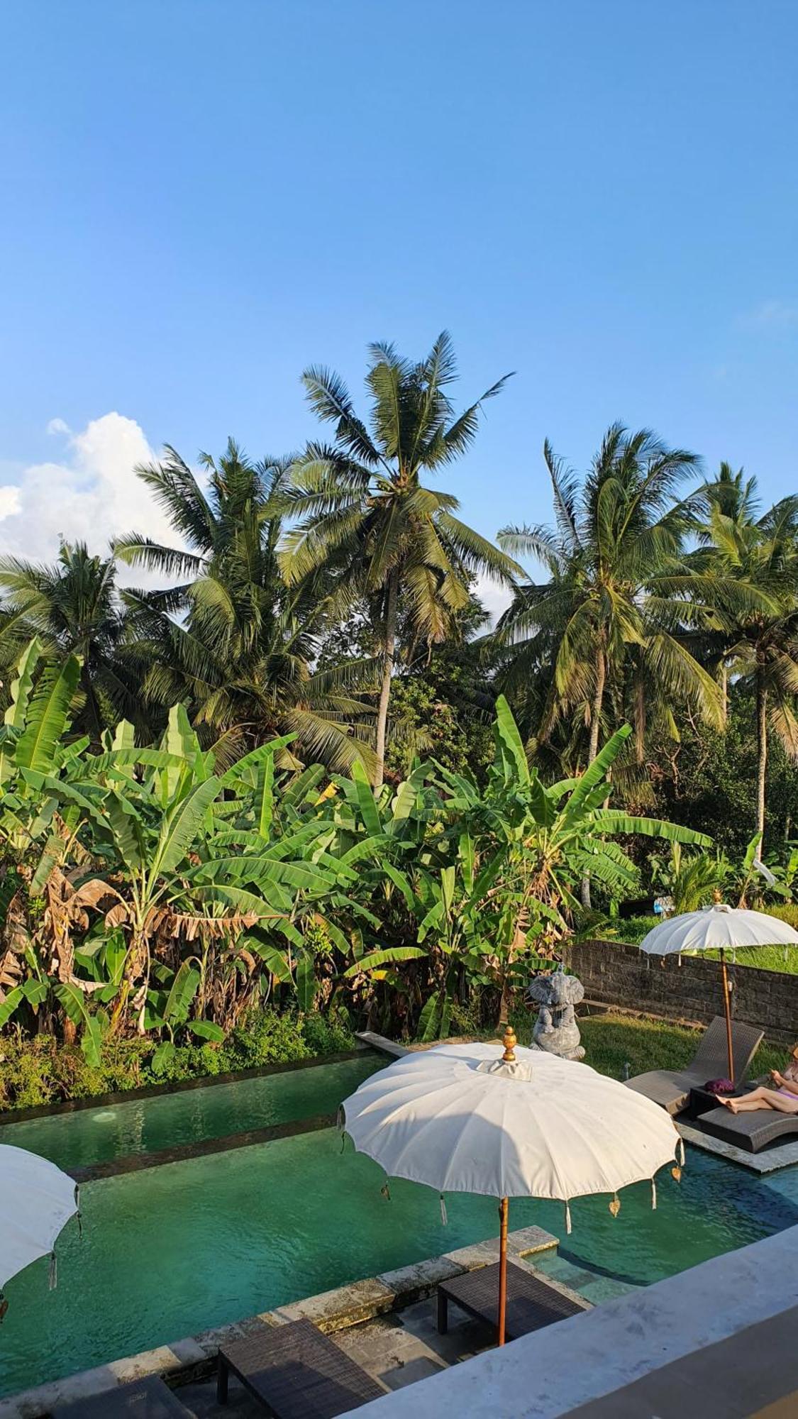 Ubud Rice Field House Экстерьер фото